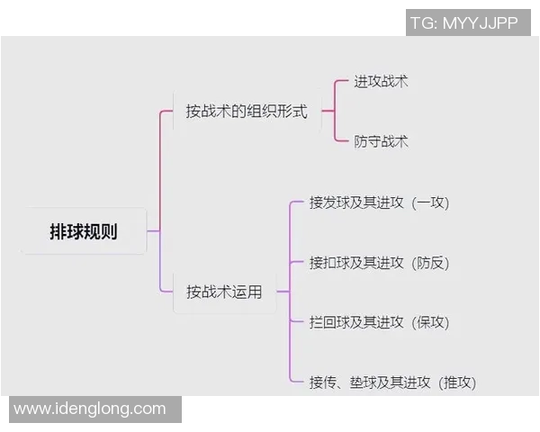 上海排球队进攻策略解析与战术创新的深度剖析