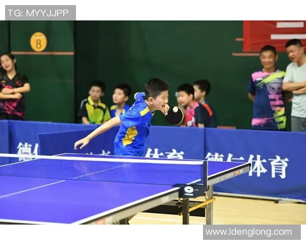 乒乓球战术解析：深入探讨杭州乒乓球队的盯防策略与技巧