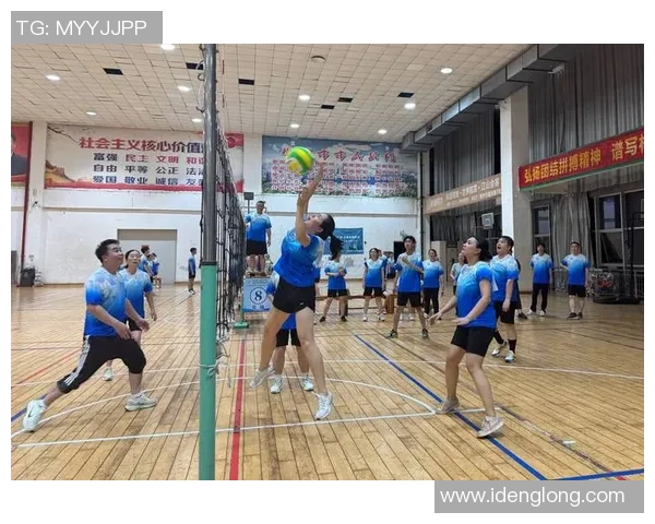 南京排球队的速度之美：探秘排球运动的魅力与激情